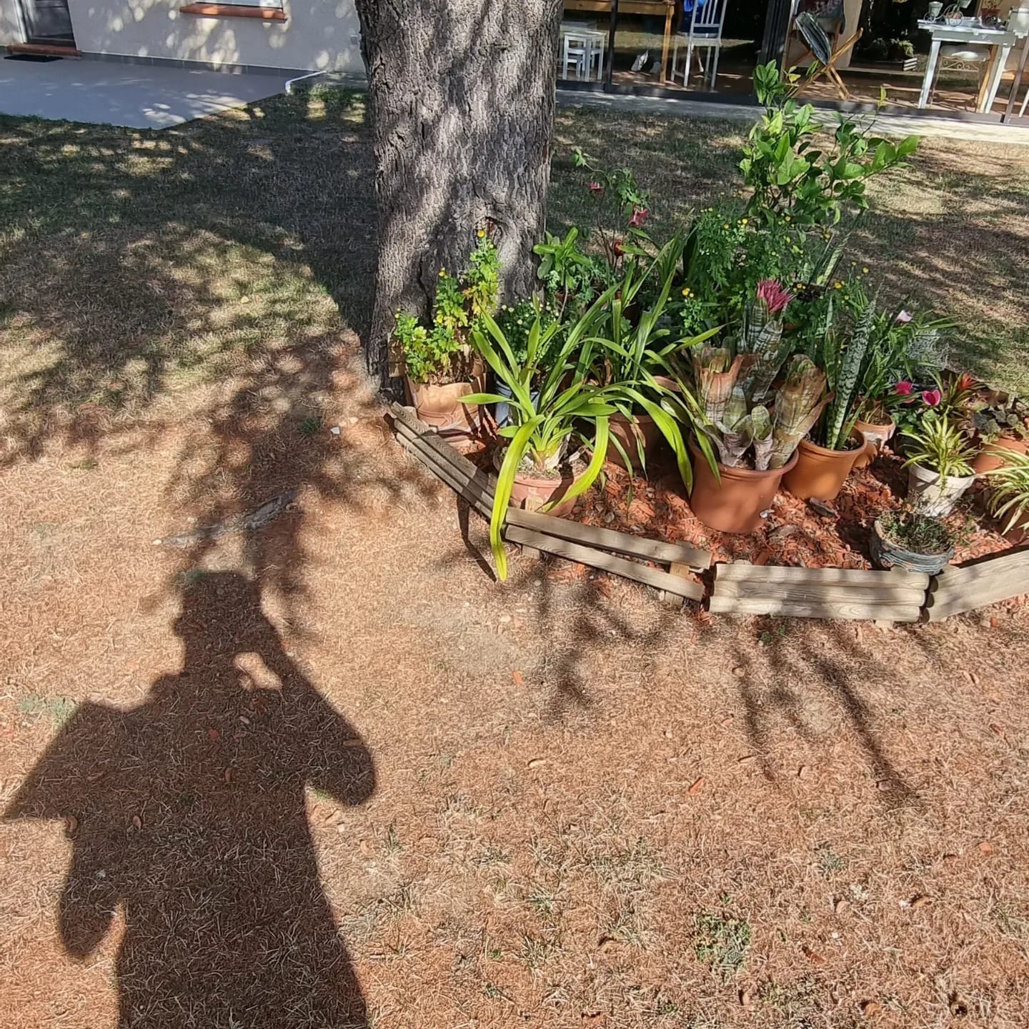 WhatsApp Image 2026 03 22 at 19.04.09 (3)